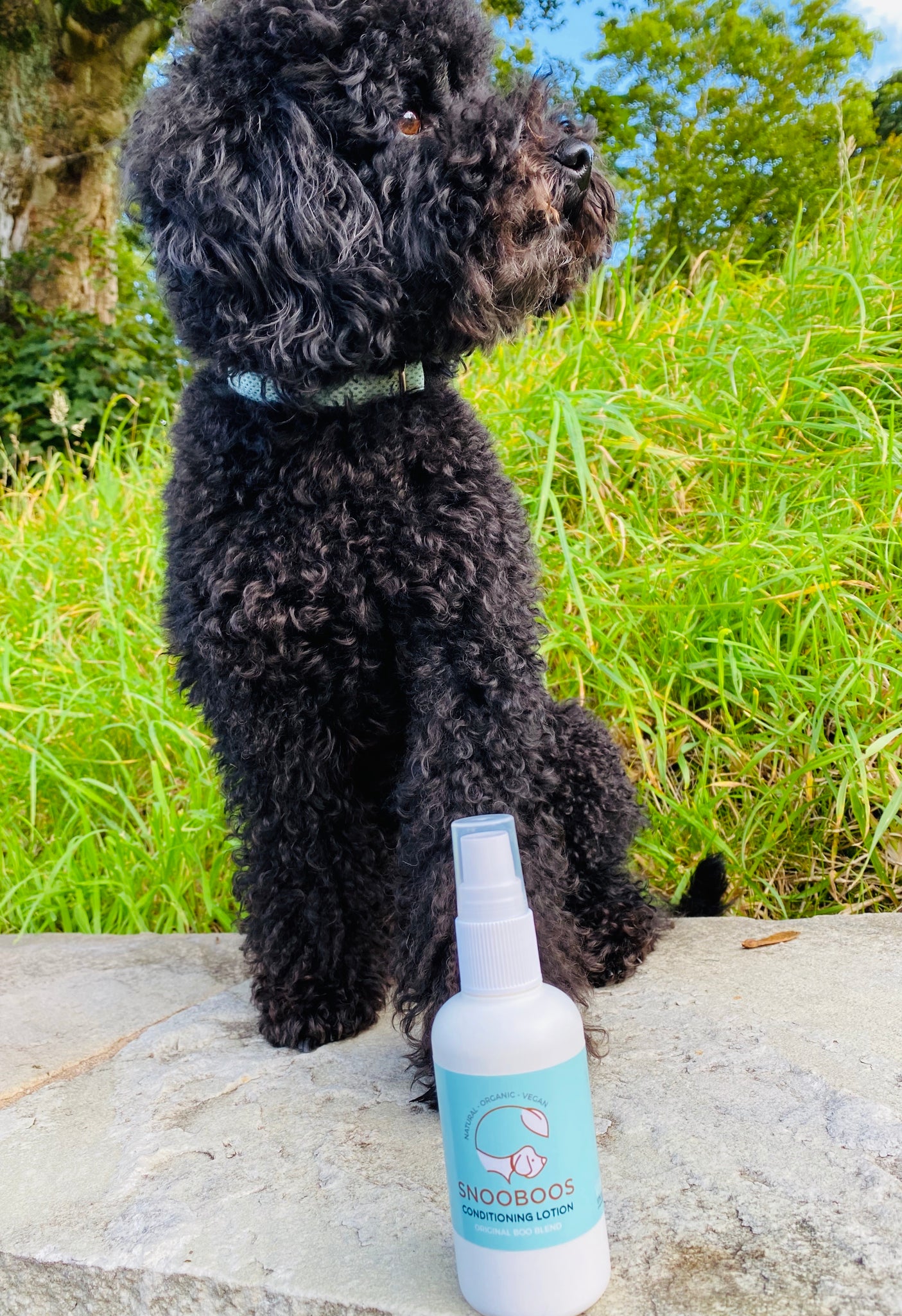 Snooboos Organic Dog Conditioning Lotion