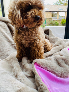 Faux Fur Dog Blanket