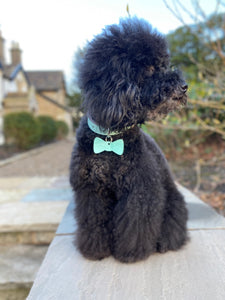 Bow Dangle