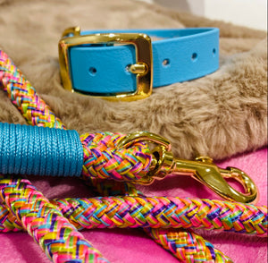 Vegan Biothane Collar