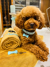 Load image into Gallery viewer, BowDangle Pooch &amp; Parent Set