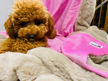 Load image into Gallery viewer, Faux Fur Dog Blanket