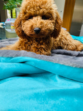Load image into Gallery viewer, Faux Fur Dog Blanket