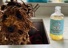 Load image into Gallery viewer, Snooboos Organic Puppy Wash