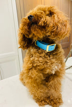 Load image into Gallery viewer, Vegan Biothane Collar